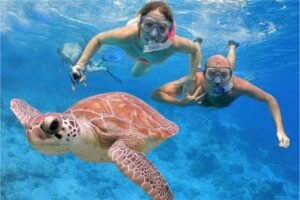 diving buleleng